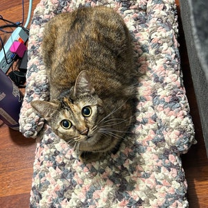 Crochet Cat Bed