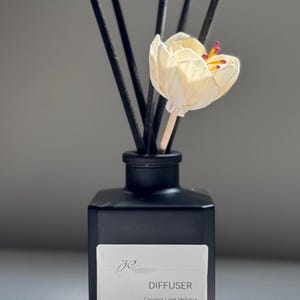 Reed Diffuser / Premium Fragrance / Fragrance for your home / Luxury Home Fragrance / Gift Idea / Mother’s Day