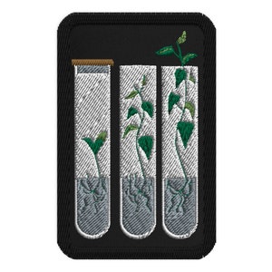 May include: Three glass test tubes with a black background. Each test tube contains a plant with green leaves and roots. The plants are in different stages of growth.