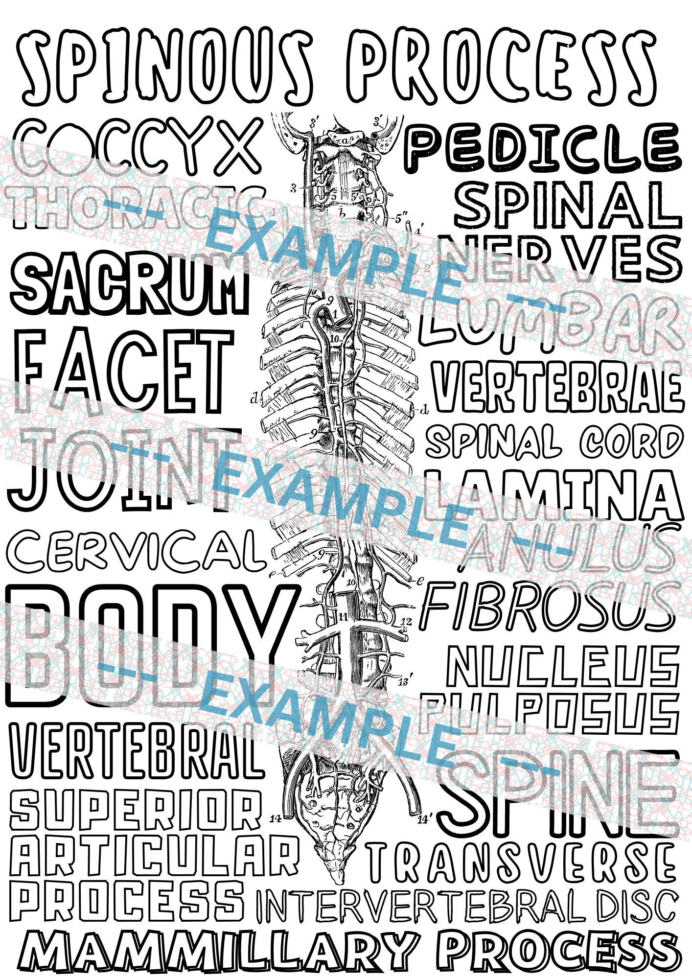 ANATOMICAL _ COLOURING || Digital Print - Etsy