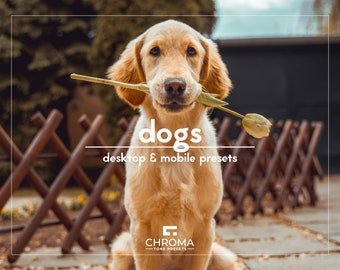 10 Dogs Presets | Desktop And Mobile | Pet Photography Presets | Puppies Presets | Fur-tastic Presets