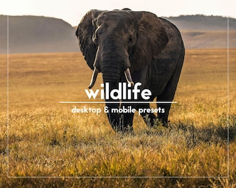 10 Wildlife Lightroom Presets | Desktop and Mobile | Nature and Animal Presets | Safari Presets | Mountain Presets