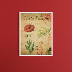 Vintage French | Poppy Flower Print | Antique Botanical Wall Art Printable Digital Download | French Home Decor | Parisian Aesthetic