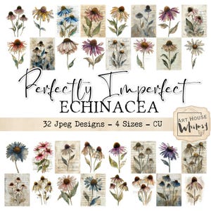Peut inclure: Ensemble de motifs de fleurs d'échinacée à l'aquarelle, dans des tons de rose, de violet et de bleu. Le texte "Perfectly Imperfect ECHINACEA" est affiché au-dessus des motifs, avec des détails sur les motifs et les tailles.