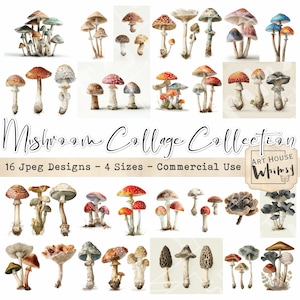 May include: A collection of watercolour mushroom illustrations in diverse colours and styles. The image features text: "Mushroom Collage Collection" and "16 Jpeg Designs - 4 Sizes - Commercial Use". The image also includes the "Art House Whimsy" logo.