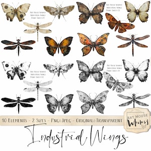 Industrial Wings-10 Steampunk Png Schmetterlinge, Libellen & Motten, 2 Größen, 2 Versionen, Cu, digitaler Download, Junk Journals, digitale Kunst