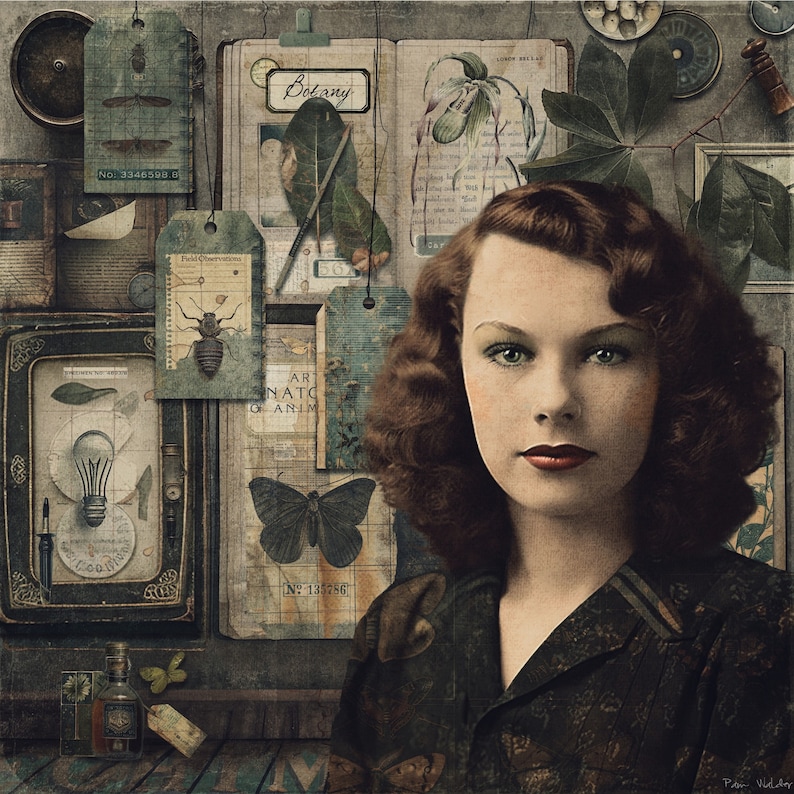Naturjournals Collage Kit: Vintage Ephemera, Fältanteckningar (Digital Nedladdning) bild 5