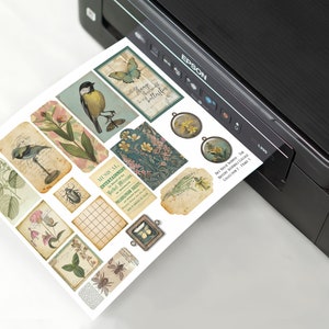 Peut inclure: Une feuille d'&eacute;ph&eacute;m&egrave;res de style vintage imprimable avec des images d'oiseaux, de papillons, de fleurs et d'insectes. La feuille est en cours d'impression sur une imprimante noire.