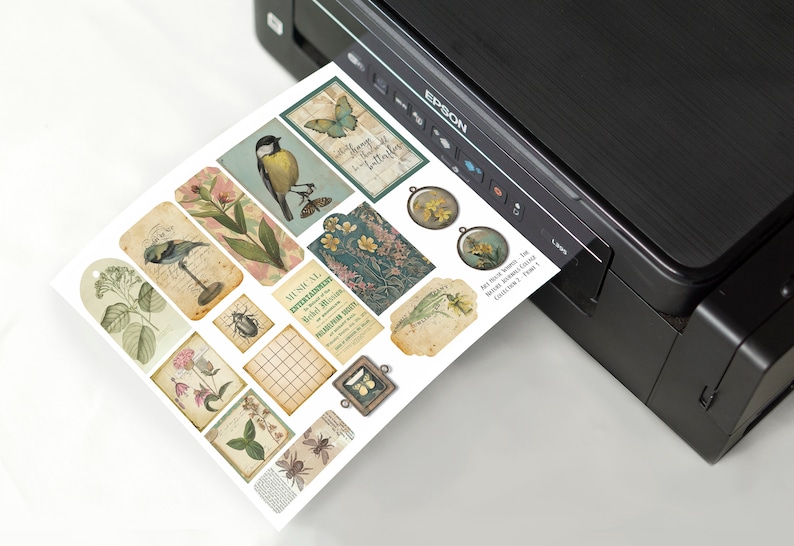 Peut inclure: Une feuille d'&eacute;ph&eacute;m&egrave;res de style vintage imprimable avec des images d'oiseaux, de papillons, de fleurs et d'insectes. La feuille est en cours d'impression sur une imprimante noire.