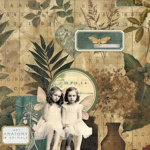 Naturjournals Collage Kit: Vintage Ephemera, Fältanteckningar (Digital Nedladdning) bild 4