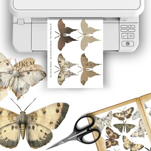 May include: A sheet of paper with printed images of butterflies in shades of brown and beige. The paper is being printed from a printer. A book with pages of butterflies is open on a table. The butterflies are in various shades of brown, beige, and white.