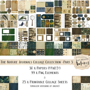 Colección de Collages de Diarios de Naturaleza 3 - Kit Vintage de Notas de Campo de Naturaleza, 55 Hojas de Collage (28 x 21,5 cm), 99 PNG, Diario Basura, CU