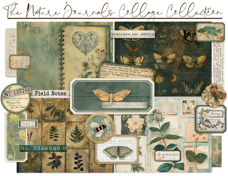Naturjournals Collage Kit: Vintage Ephemera, Fältanteckningar (Digital Nedladdning) bild 2