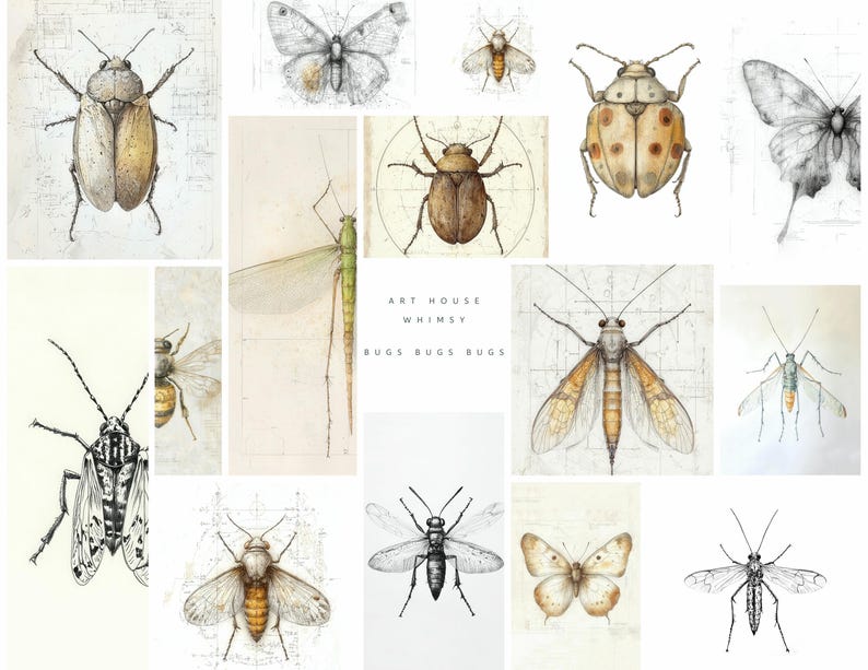 Design Insects Kaplan Bugs Bugs Bugs: Entomology Insect Jpeg Designs, Nature Field Notes ...