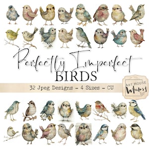 May include: A collection of watercolor bird illustrations in various colors, including blue, brown, and green. The text "Perfectly Imperfect BIRDS" is displayed above the images, with additional text indicating 32 JPEG designs in 4 sizes.