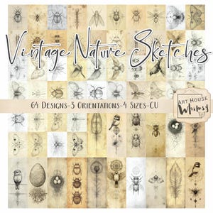 Vintage Natur Skizzen - Skizziert Vögel & Insekten auf altem Papier, 64 Jpeg Designs 3 Ausrichtungen, 4 Größen, Digital Art, Junk Journal, CU
