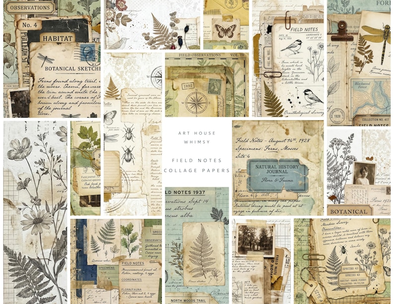 May include: A collection of collage papers featuring vintage-style field notes, botanical sketches, insect illustrations, and handwritten journal entries in sepia, cream, and muted green tones with text including Art House Whimsy Field Notes.