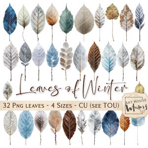 May include: A collection of watercolor leaves in various colors, including blue, brown, and gray, arranged on a white background. The text "Leaves of Winter" is displayed in a cursive font. The image also includes the text "32 PNG LEAVES - 4 SIZES - CU (SEE TOU)".