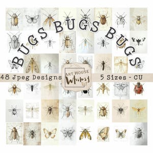 Bugs Bugs Bugs - Disegni Jpeg di insetti entomologici, appunti di campo sulla natura, schede di campioni, 48 disegni Jpeg, 5 dimensioni, arte digitale, diario spazzatura, CU