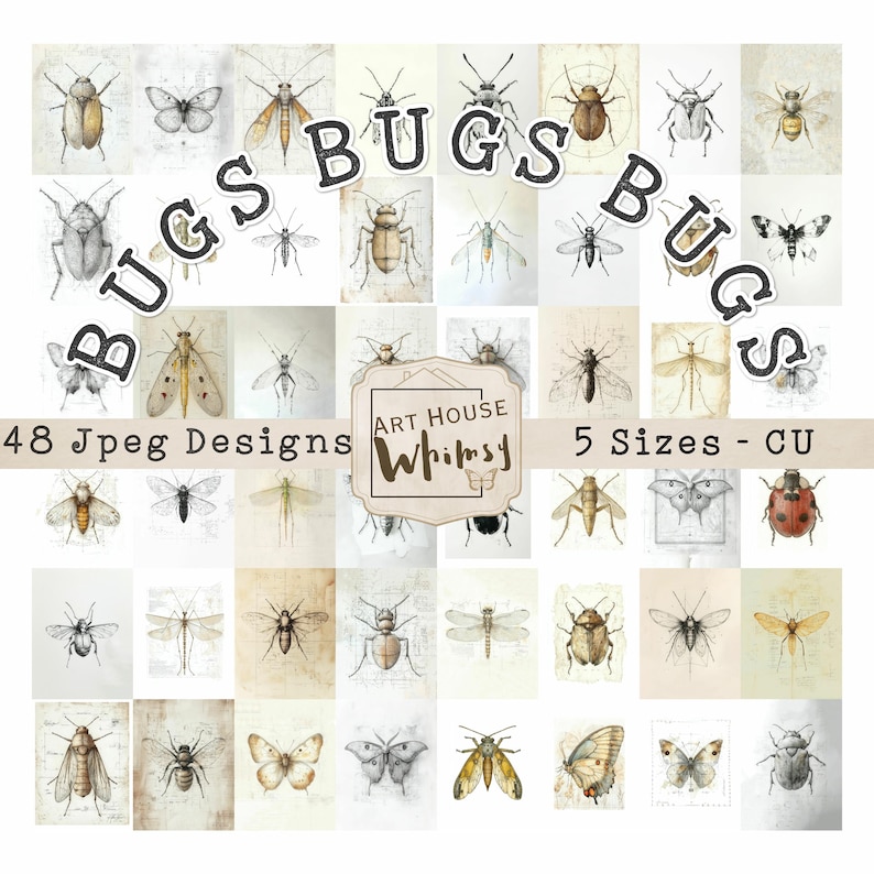 Bugs Bugs Bugs: Entomology Insect Jpeg Designs, Nature Field Notes ...