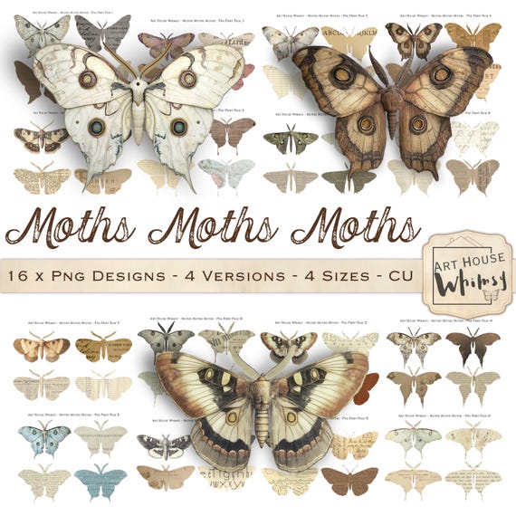 Moths Moths Moths 1:  Vintage Moth PNG Clipart, Layered Moth Illustrations (Commercial Use)