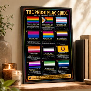 May include: A framed educational poster titled THE PRIDE FLAG GUIDE, featuring twelve distinct pride flags arranged in a grid. Each flag includes its name, year of origin, designer, and a brief explanation of its colors and symbolism on a black background.