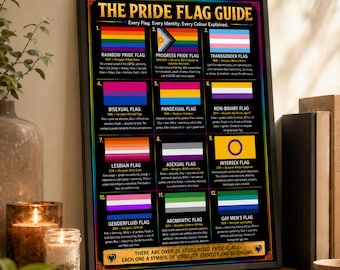 Pride Flagge Anleitung Druck | 12 LGBTQ+ Flaggen erklärt (Digitaler Download)
