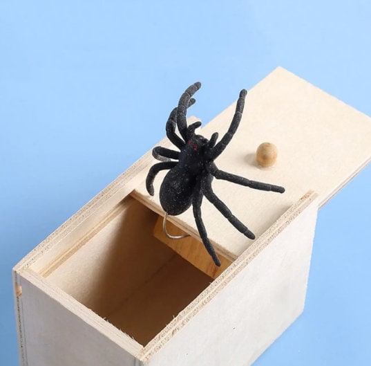 Boite Surprise Araignée Spider Prank - Idée Cadeau Drôle pour