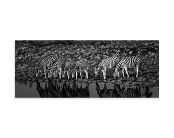 Sei zebre – Stampa panoramica di zebre in bianco e nero, arte murale safari africano, poster minimalista di fotografia naturalistica