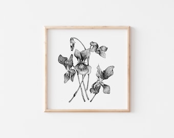 Violets (8x8 print, frame not included)