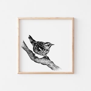 Può includere: Disegno a inchiostro nero e bianco di un uccello appollaiato su un ramo, incorniciato in una cornice di legno chiaro. L'uccello ha motivi di piume dettagliati e guarda a destra. L'opera è un'illustrazione a tema natura.