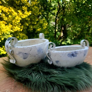 Könnte beinhalten: Zwei weiße Keramik-Blumentöpfe mit blauen Blumenmustern und Metallgriffen. Die Töpfe stehen auf einem grünen Kunstfellteppich.