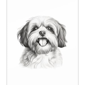 Shih Tzu Dog sketch, printed on luxury Satin Posters (300gsm).