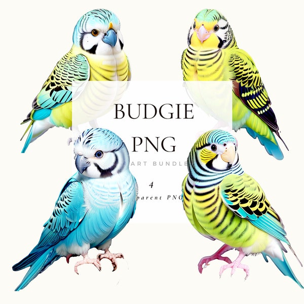 Budgerigar Clipart, Pet Budgie Birds Transparent PNG Set 1, Nursery Graphic Art for Digital Download, Commercial Use License Available