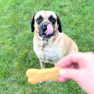 BEST Dog Treat Digital Recipe Pumpkin Peanut Butter Dog Treats, Easy ADHD Cooking Guide