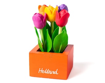 Tulpen in vierkant houten potje - Tulpen in potje, cadeau voor haar, plant in pot, meerdere kleuren