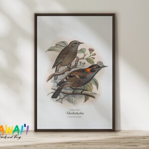 Vintage Watercolor Bird Artwork of Akohekohe Crested Honeycreeper on Wood Framed Canvas