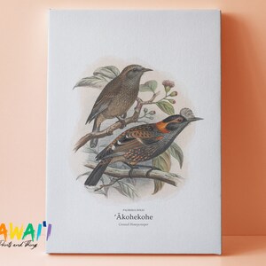 Vintage Print of Akohekohe Crested Honeycreeper Bird Illustration on Thin Canvas