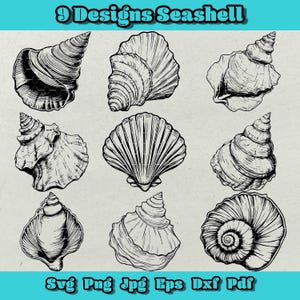 May include: Nine black and white line drawings of seashells. The seashells are drawn in a realistic style and are arranged in a grid pattern.
