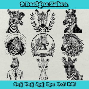 Zebra Svg-bundel, bloemen zebra png, zebra met zonnebril Svg, schattige baby zebra dxf, wilde zebra eps, wilde natuurlijke svg, safaridier, gentleman zebra
