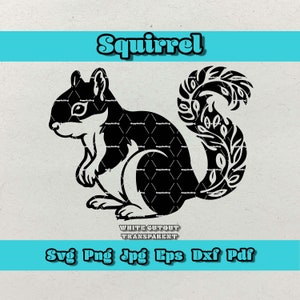 Écureuil Svg, Svg bébé écureuil, Svg écureuil mignon, Svg animaux de la forêt, Silhouette d'écureuil, Svg amoureux des animaux, fichier coupe Cricut, Silhouette