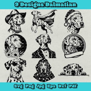 Dalmatische SVG-bundel, bloemen Dalmatiër Png, gluren Dalmatiër Svg, Dalmatiër hoofd Svg, Dalmatiër in pak Svg, Hooded Dalmatiër Dxf, Noel Hat