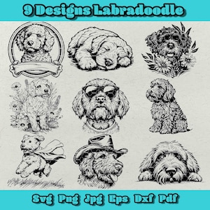 Labradoodle Svg Bundle, Espiando Labradoodle Png, Chapéu De Cowboy Labradoodle Svg, Super Herói Labradoodle, Labradoodle Floral, Óculos De Sol Labradoodle
