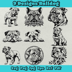 Bulldog SVG-bundel, bloemen Bulldog Png, Peeking Bulldog Svg, Bulldog hoofd Svg, Engelse Bulldog SVG, Franse Bulldog Png, Bulldog silhouet