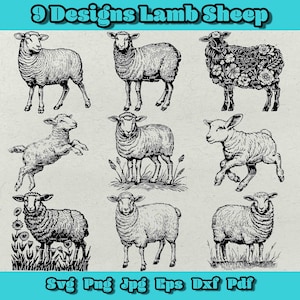 Pacchetto agnello pecora Svg, agnello Svg, fattoria Png, pecora Png, fattoria di pecore Svg, agnello carino Dxf, mandria da latte Svg, clipart animali da fattoria, pascolo bestiame