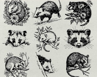 Floral Opossum SVG Bundle, Peeking Possum Clipart (Digital Files)