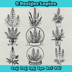 Paquete SVG de lupino, flores SVG, botánico SVG, ramo de flores de lupino (dxf), lupino para logotipo, San Valentín SVG, Día de la Madre, amor PNG, planta