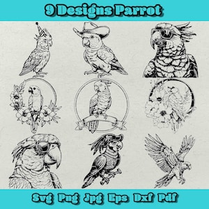 Papegaai Svg-bundel, tropische vogel Svg, papegaai met zonnebril png, papegaai met bloemen dxf, papegaai met feestmuts Svg, cowboy papegaai png, vliegende vogel