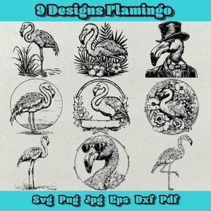 Flamingo-Svg-Bundle, Floral Flamingo Png, Flamingo mit Sonnenbrille Dxf, Gentleman Flamingo, Flamingo Silhouette, Flamingo für Logo, Vogel Eps