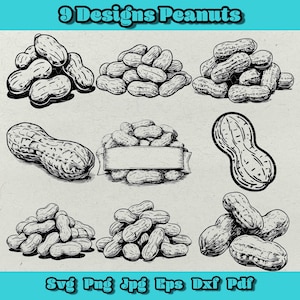 May include: Nine peanut designs in a black and white line art style. The image features various arrangements of peanuts, including single peanuts and clusters. The text "9 Designs Peanuts" is at the top, and file type options are at the bottom.